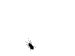:bugs: